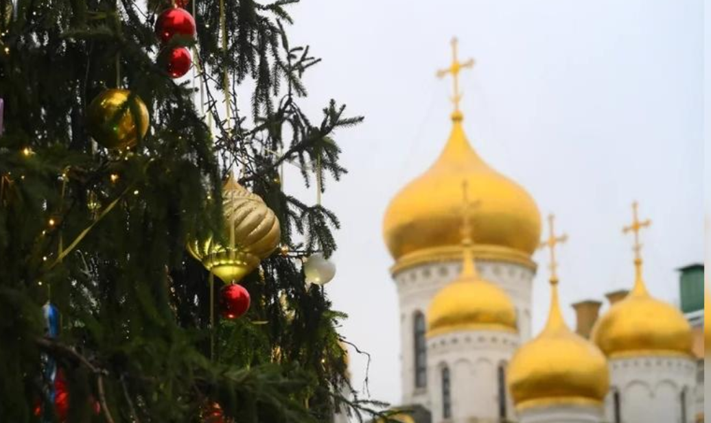 Главную новогоднюю елку страны привезут в Кремль 10 декабря