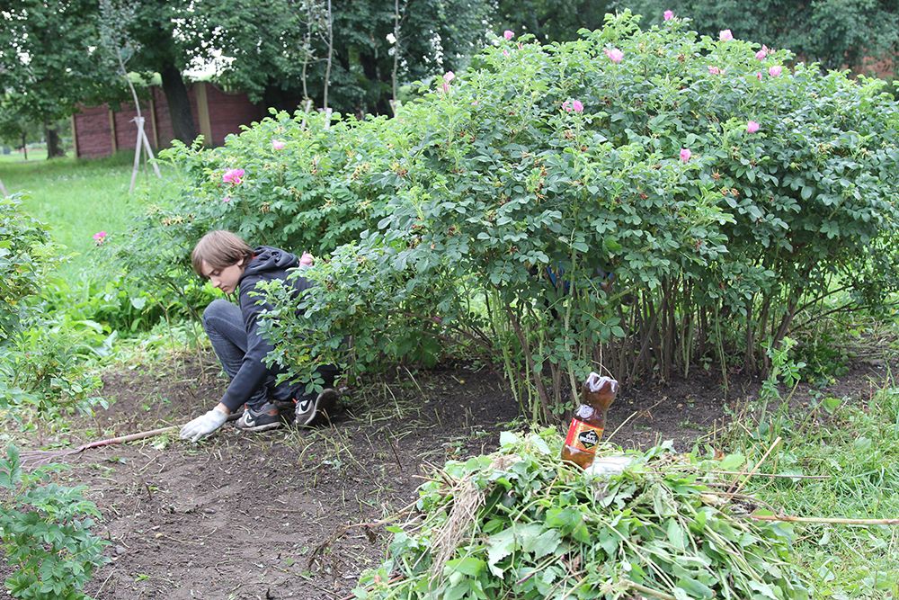 «Пчелки» убирают город