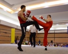 Колпинец Максим Левкович стал призером чемпионата мира по савату