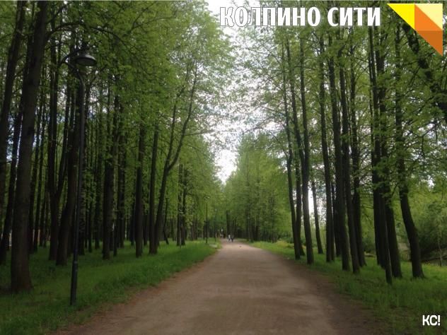 Информация о мероприятиях для всей семьи в парке на Чухонке на ближайшие выходные.