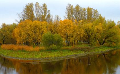 СПБГБУ «Парк культуры и отдыха г. Колпино приглашает жителей и гостей нашего города посетить бесплатные культурно-досуговые мероприятия СПБГБУ «Парк культуры и отдыха г. Колпино приглашает жителей и гостей нашего города посетить бесплатные культурно-досуговые мероприятия