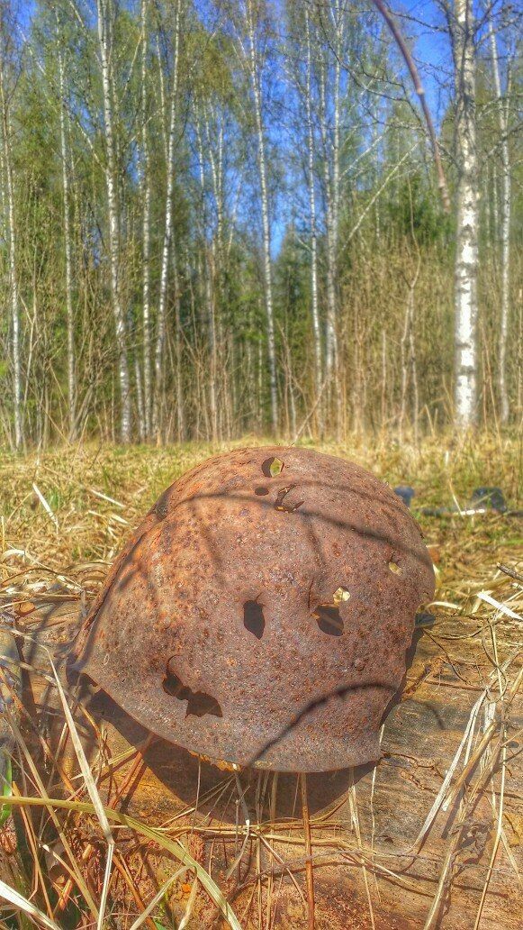 Наш поиск продолжается