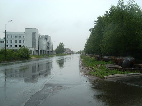 Реконструкция Финляндской улицы в Колпино начнется в ноябре 