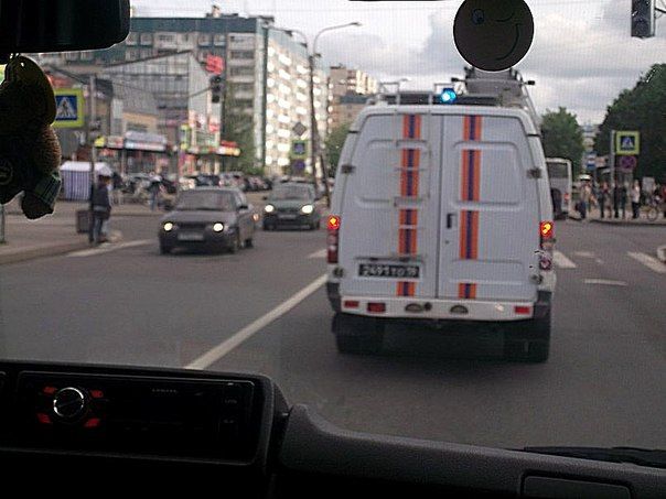 Глобальная инспекция в Колпино