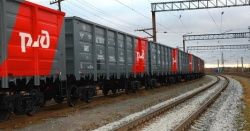 Губернатор отреагировал на проблемы колпинцев, связанные с РЖД