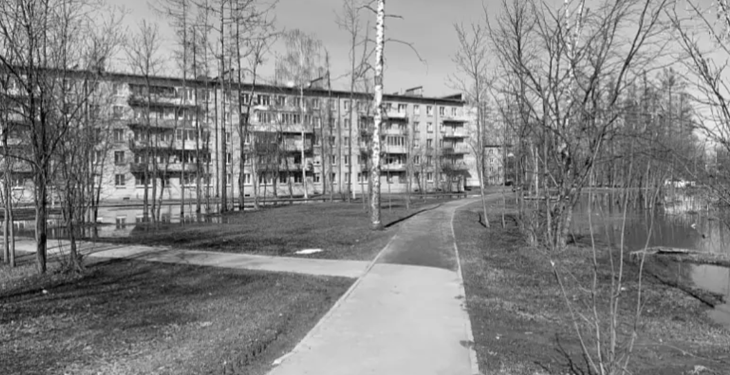 Жители Колпинского района могут проголосовать за территорию для благоустройства