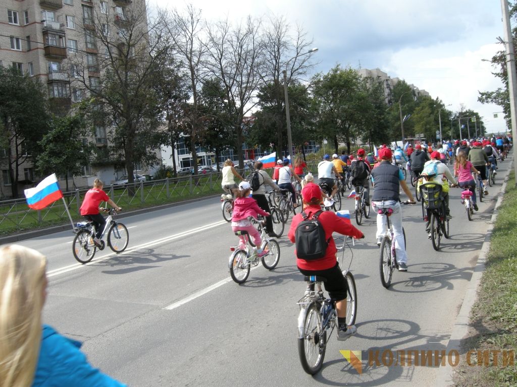 Велопробег-2014 (все фото) Велопробег-2014 (все фото)