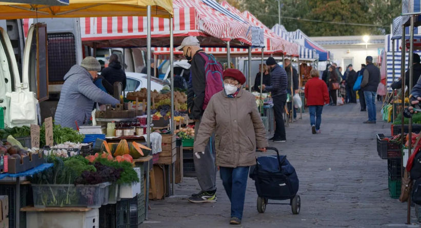 В Петербурге 32 земельных участка освободили от точек нелегальной торговли