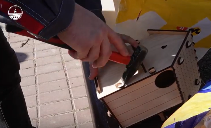 На острове Чухонка прошла реновация беличьего городка