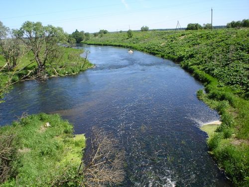 Кто загрязняет Ижору?