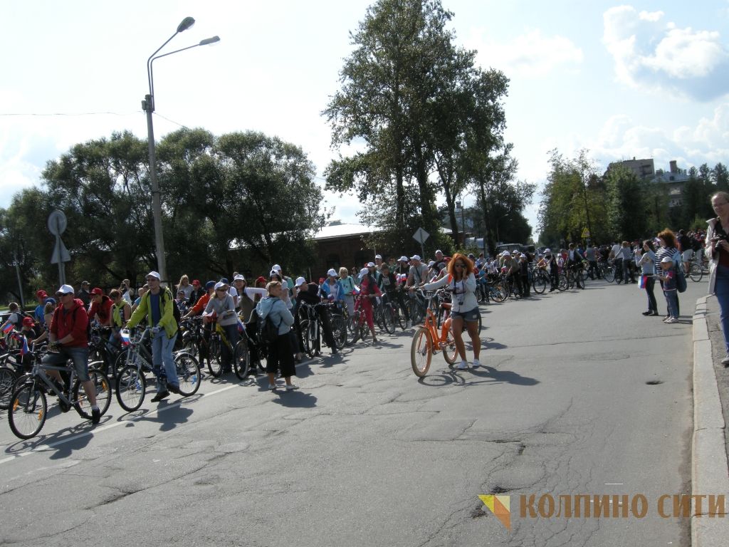 Велопробег-2014 (все фото) Велопробег-2014 (все фото)