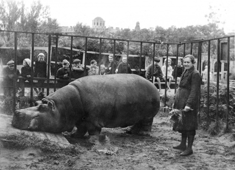 Ленинградский зоопарк рассказал о&nbsp;животных, которые пережили блокаду