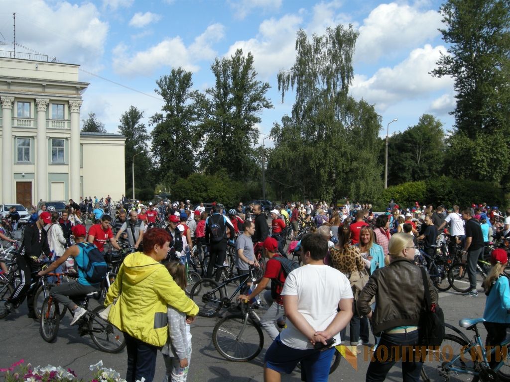 Велопробег-2014 (все фото) Велопробег-2014 (все фото)