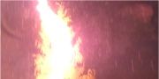 Во время минувшей грозы в Колпино молния ударила в дерево