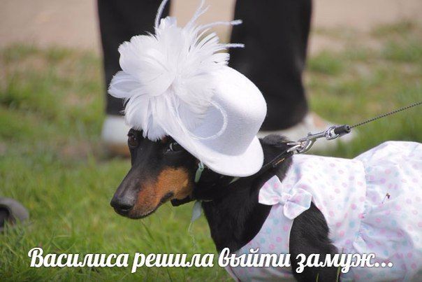Подведены итоги фотоконкурса от депутата Елены Киселевой
