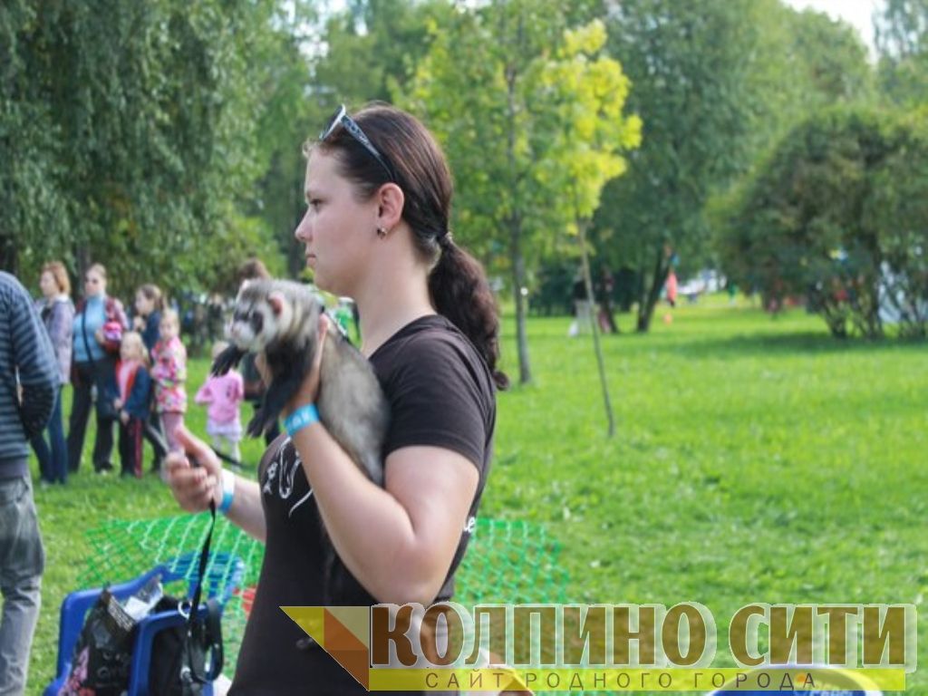 День Города Колпино-2014 подробно (необычные гости) День Города Колпино-2014 подробно (необычные гости)
