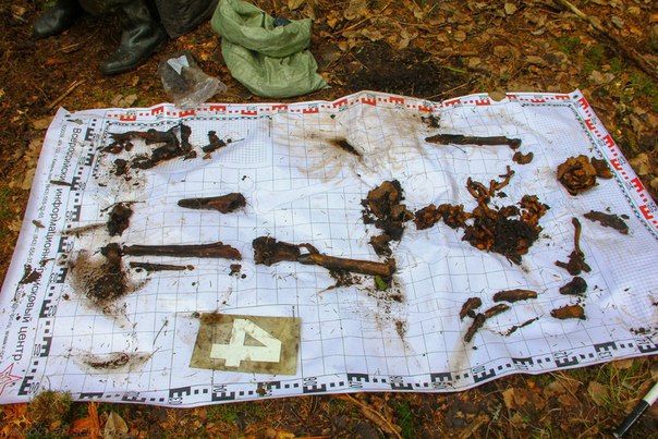 Наш поиск продолжается