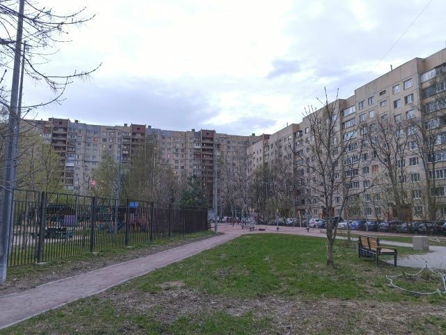 Снег и штормовой ветер вернутся в Петербург в ближайшие дни