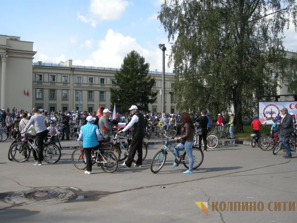 Велопробег-2014 (все фото) Велопробег-2014 (все фото)