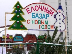 В&nbsp;Петербурге открываются ёлочные базары