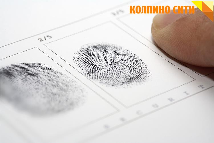 МВД Петербурга проводит добровольную дактилоскопическую регистрацию граждан