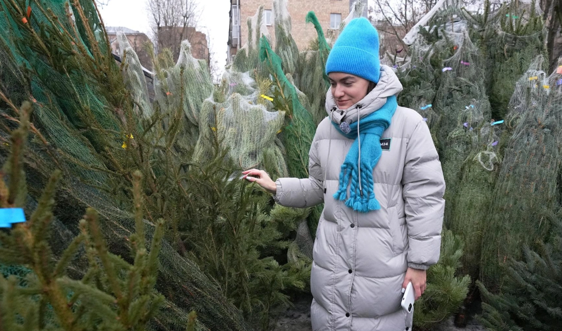 Цены на живые ёлки в Петербурге выросли до 5 тыс. рублей