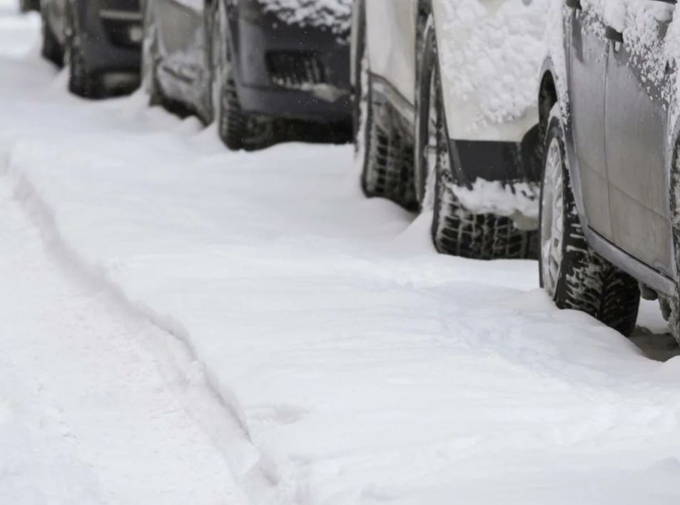 В Петербурге предложили изменить подход к штрафам за парковку на заснеженных газонах