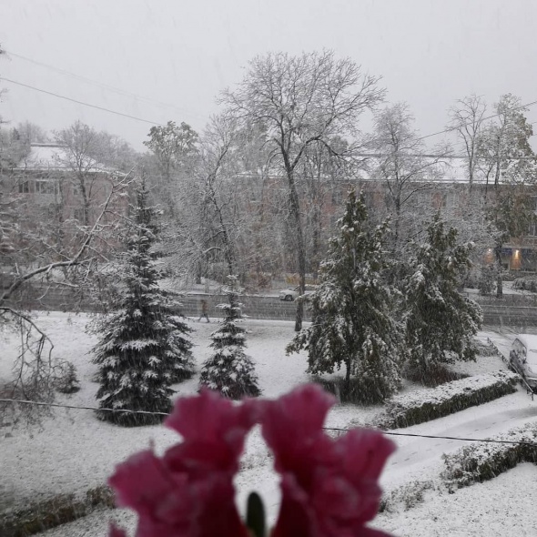 МЧС предупреждает петербуржцев о&nbsp;гололедице и&nbsp;мокром снеге во&nbsp;вторник
