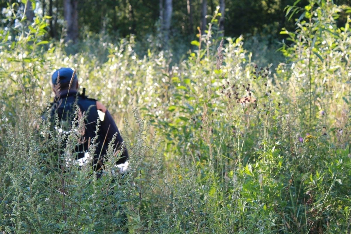 В Ленобласти спасатели нашли мужчину и подростка, потерявшихся в лесу В Ленобласти спасатели нашли мужчину и подростка, потерявшихся в лесу