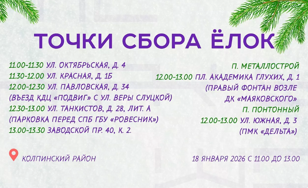 В Колпинском районе можно будет сдать на утилизацию старые ёлки