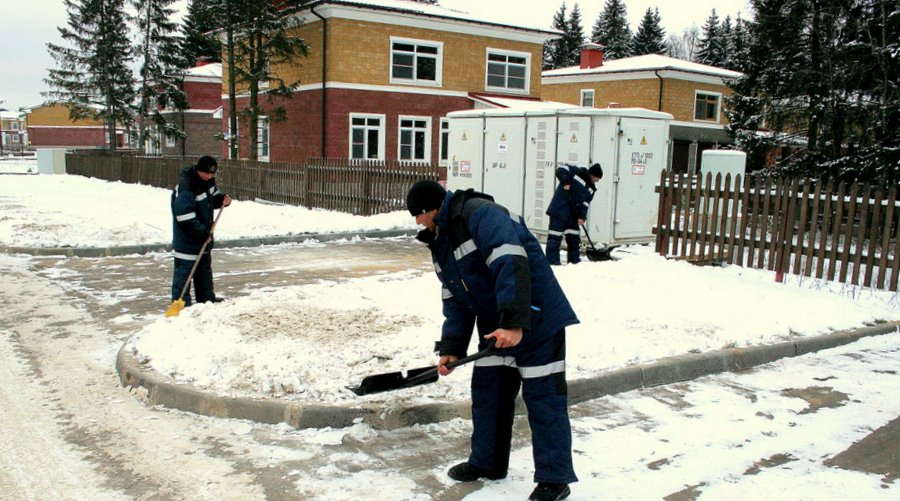 Жилищный комитет проверил уборку дворов в&nbsp;четырех районах Петербурга