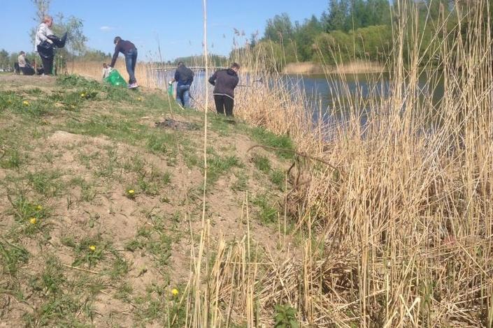 В Колпинском районе прошла акция "Чистый берег"