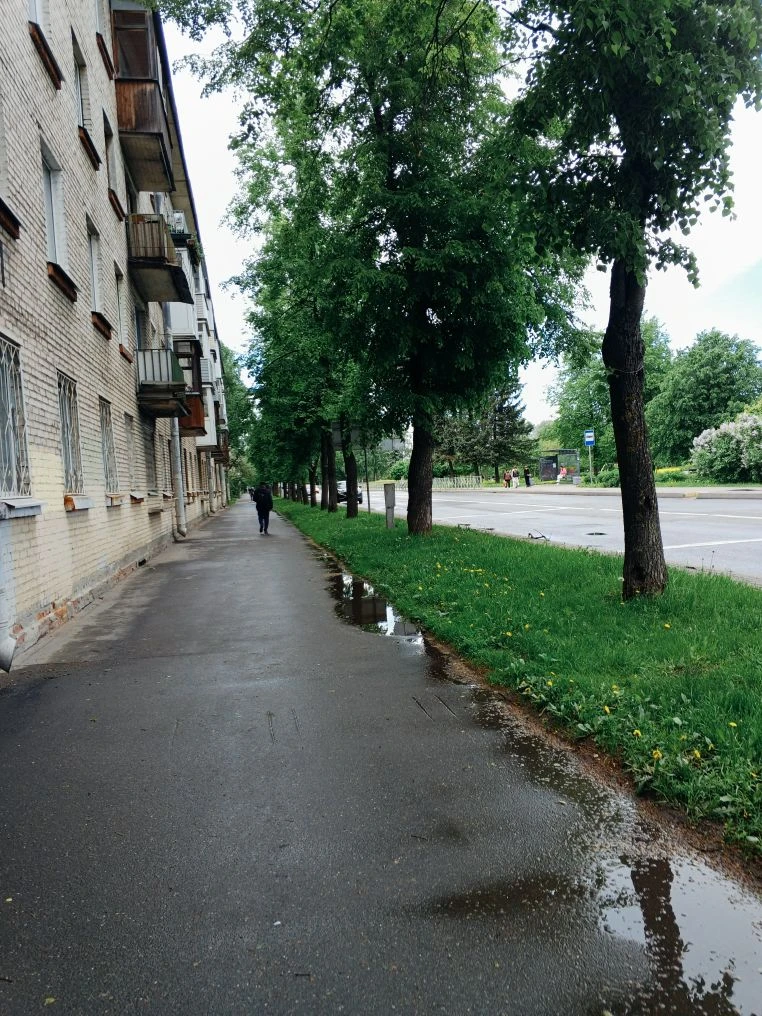 В Петербурге продлили «жёлтый» уровень опасности из-за сильного ветра