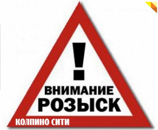 ГИБДД Колпинского района разыскивает водителей, совершивших наезды на людей ГИБДД Колпинского района разыскивает водителей, совершивших наезды на людей