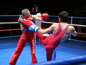 Наши земляки успешно выступили в состязаниях по савату Наши земляки успешно выступили в состязаниях по савату