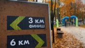 «Колпинский кросс – 2025»