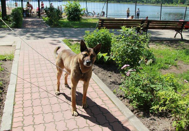 Спасение – дело рук профессионалов