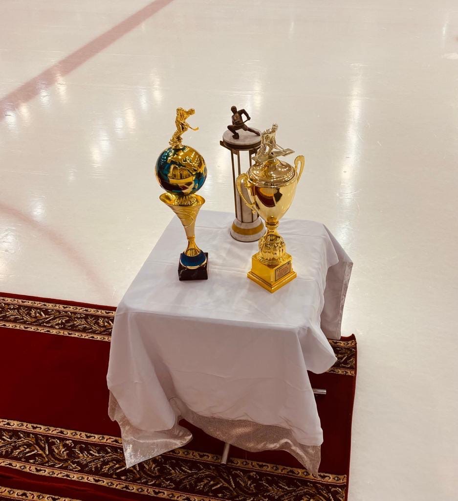 20&nbsp;декабря состоялся хоккейный турнир, посвящённый 30-летию спортивной школы им. олимпийского чемпиона Николая Дроздецкого