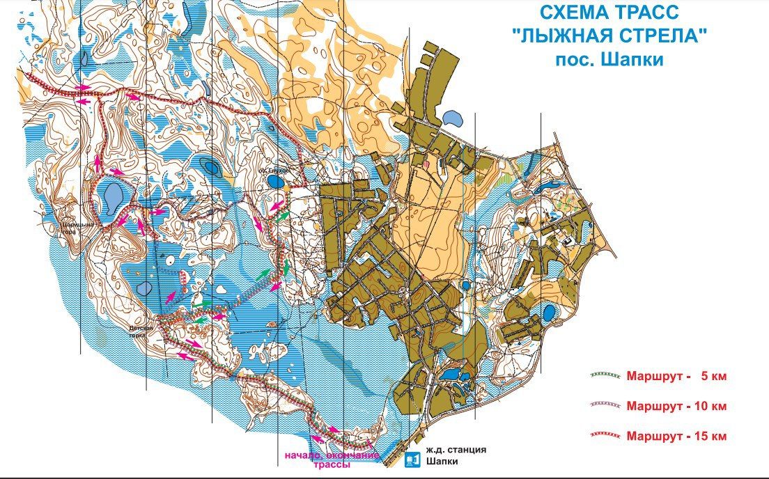 Спортивные мероприятия в Колпино с 16 по 22 января