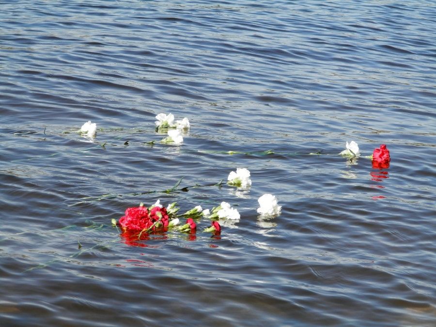 Встреча ветеранов на Невском пятачке (фото,видео)