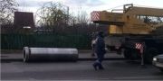 Большая потеряшка