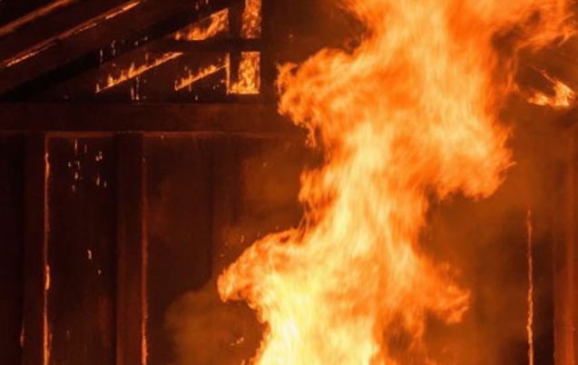 В Пушкинском районе сгорели бытовки