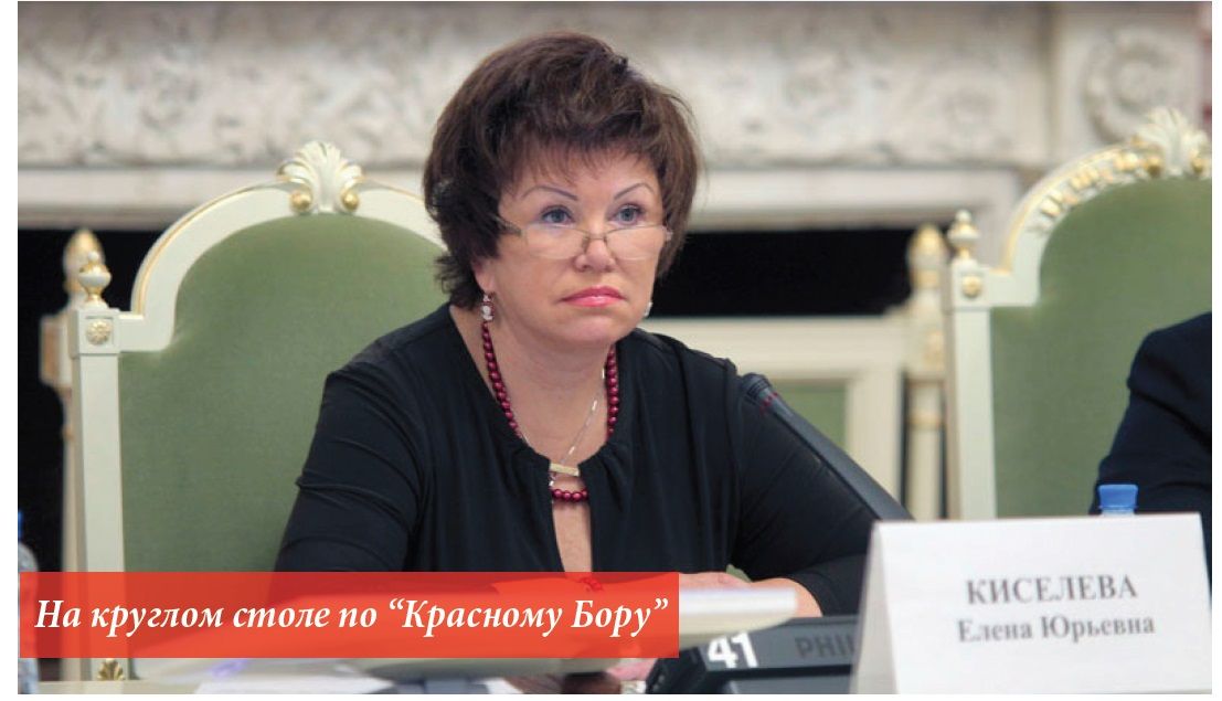 Без мифов и прикрас. Красный Бор, как он есть