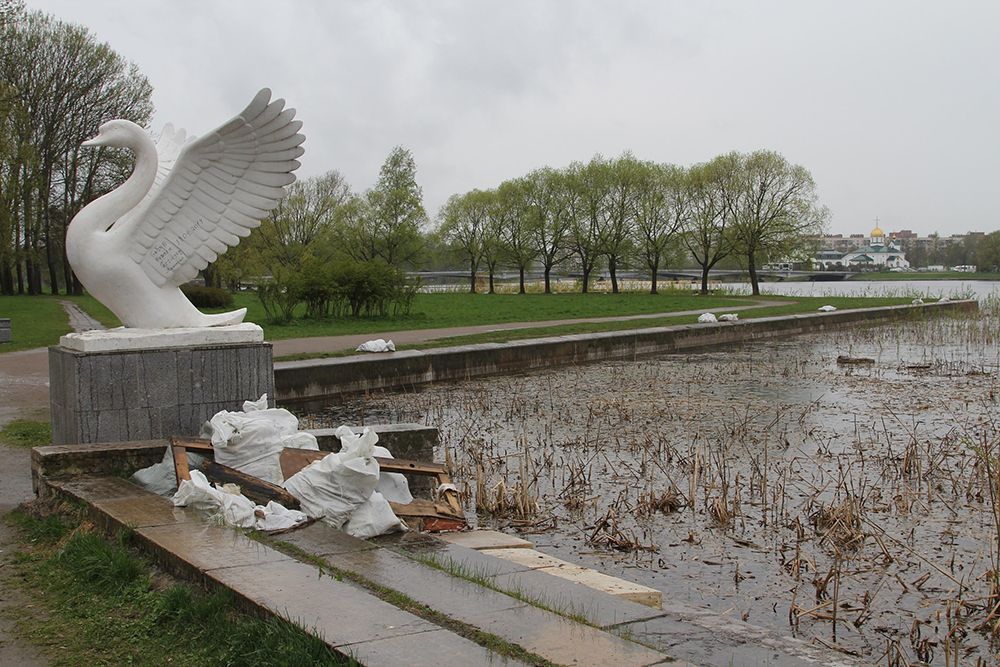 Доброволец