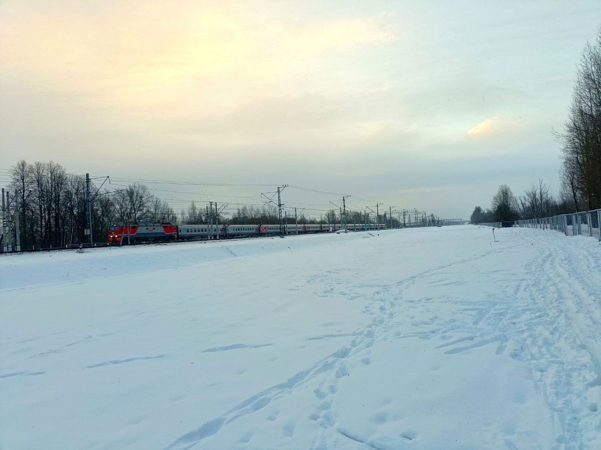 Сегодняшний день в Петербурге станет самым тёплым с начала года