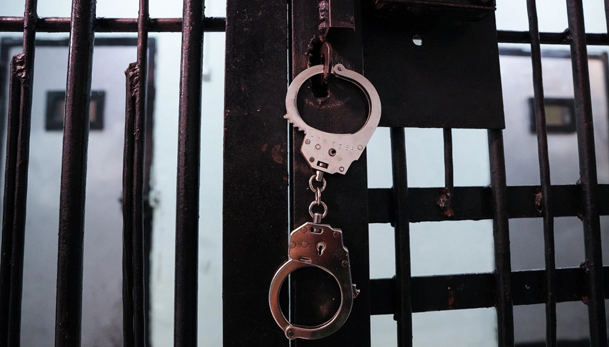 Полкило запрещённых растений привели жителя Шушар в СИЗО Юлия Шпомер