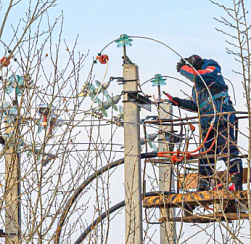 Несколько садоводств в Ленобласти остались без света из-за аварии на электросетях