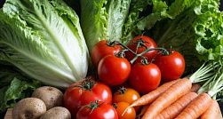 За январь в Петербурге овощи подорожали на 11,7 %