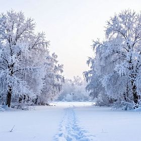 В Петербурге сохраняется морозная погода