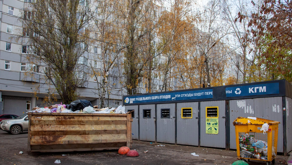 Ветки, листву и строительный мусор запретят выбрасывать в контейнеры для ТКО в Петербурге